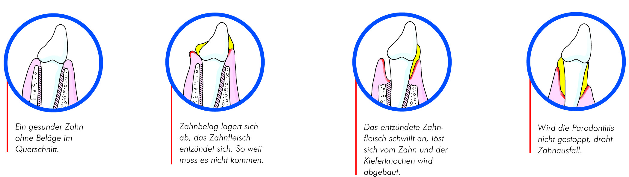 Dr Volker K Jansen Praxis Fur Zahnheilkunde